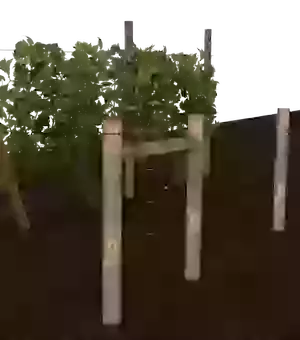 DPAK6